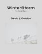 WinterStorm Concert Band sheet music cover